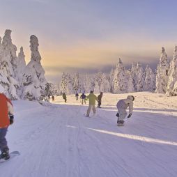 A guide to choosing where to Ski in Japan
