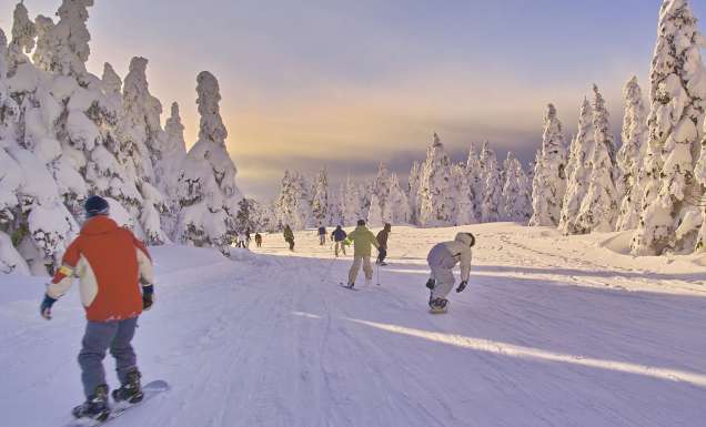 A guide to choosing where to Ski in Japan