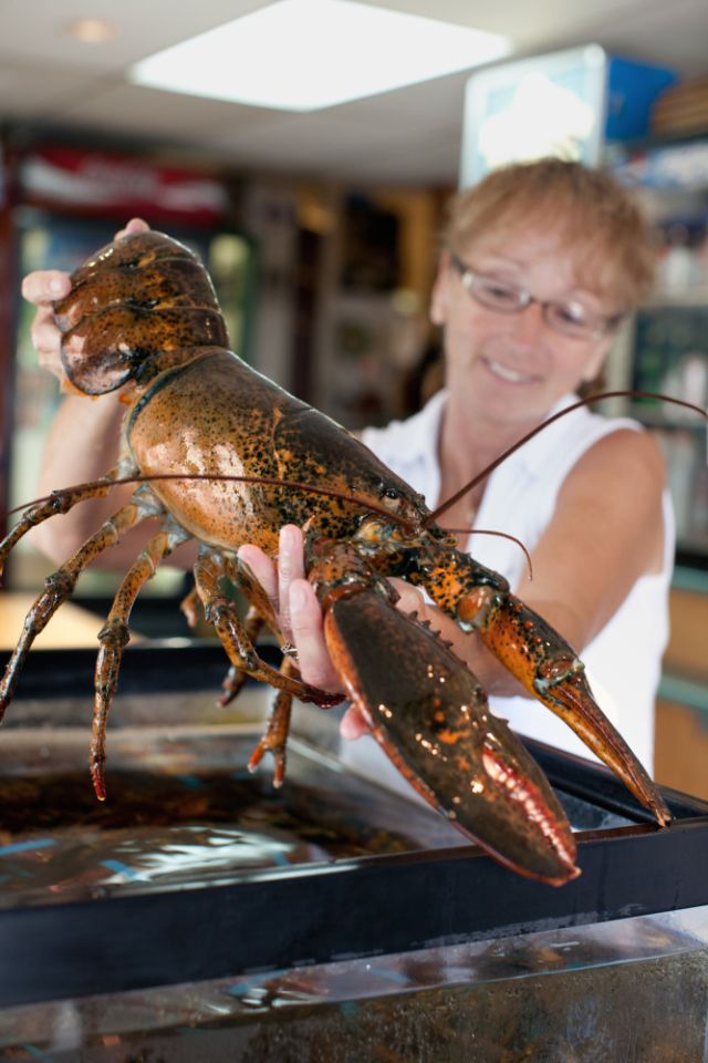 Fresh lobster