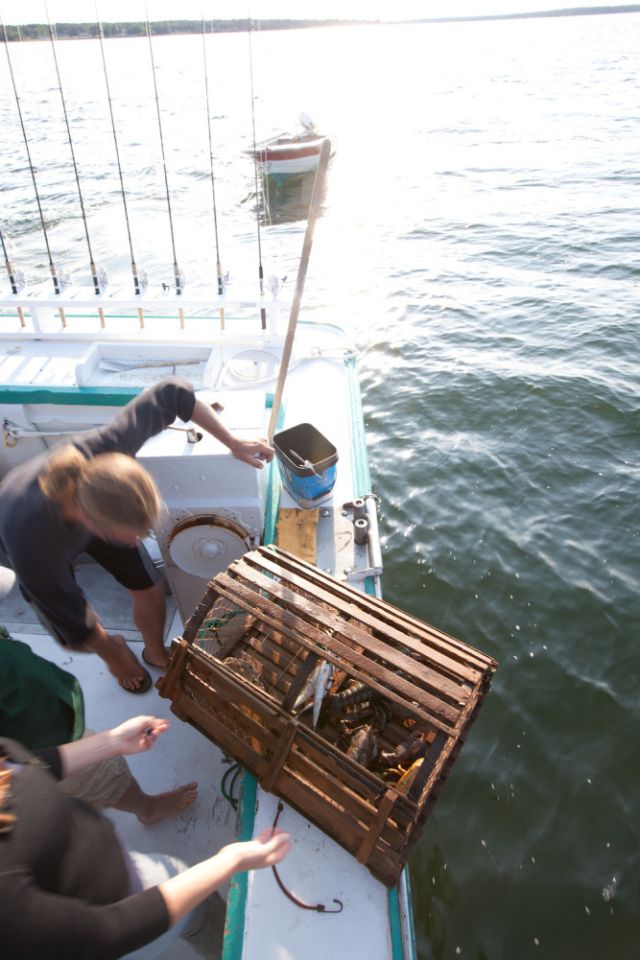 The catch