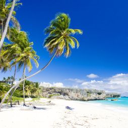 Bottom Bay in Barbados, the Caribbean.