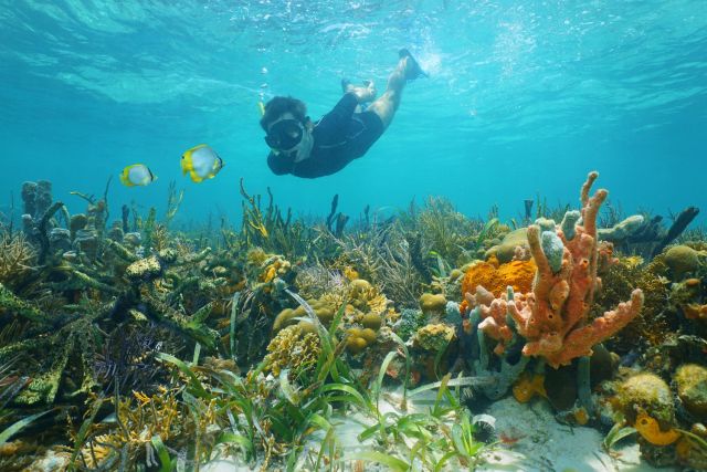 Scuba diving in Barbados.