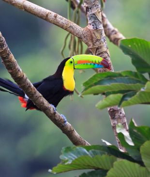 Costa Rica – the Garden of Eden