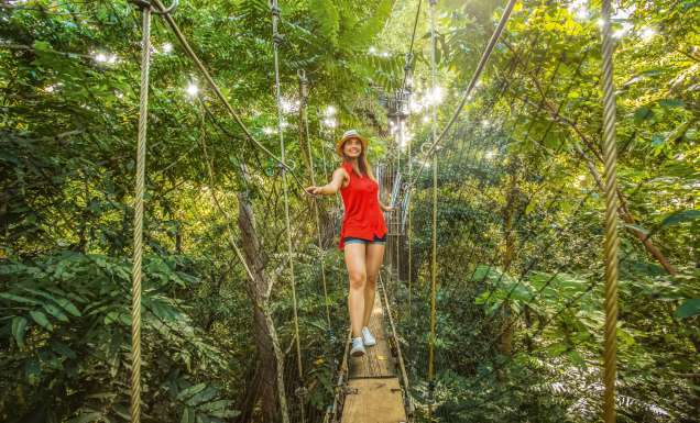 A walk on the wild side at Samoa's Falealupo Rainforest Preserve.