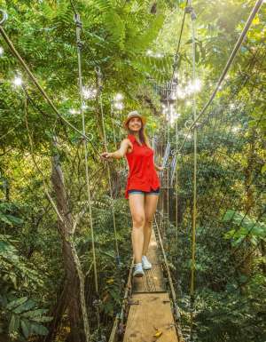 A walk on the wild side at Samoa's Falealupo Rainforest Preserve.