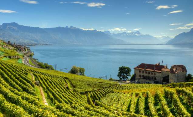 Lavaux Vineyard Terraces in Switzerland.