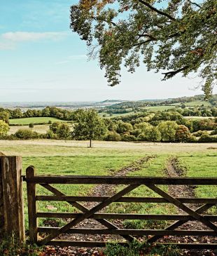 Costwolds charm: The quintessential English countryside