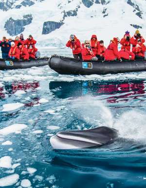 Lindblad Antarctic program.