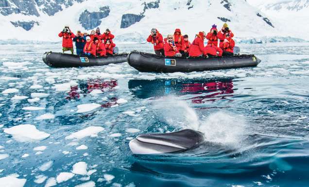 Lindblad Antarctic program.