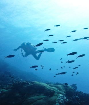 How to prepare for an international scuba diving holiday