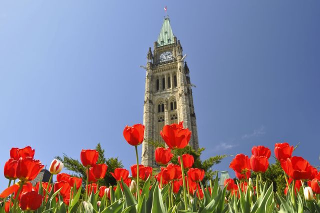 Canadian Tulip Festival in Ottawa, Canada