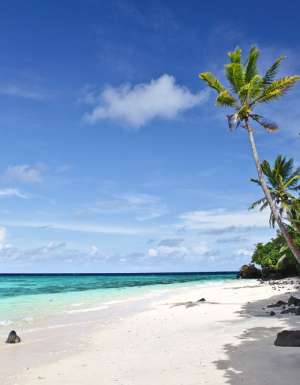 The pristine beach at Royal Davui, Fiji.