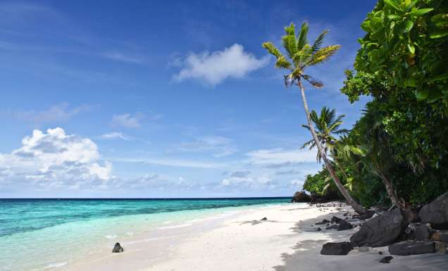 The pristine beach at Royal Davui, Fiji.
