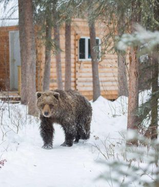 The best of First Nation accommodation in Canada