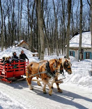 Quebec’s very unique sugar shack pig out