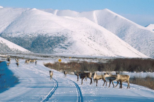 Canadian roadtrips