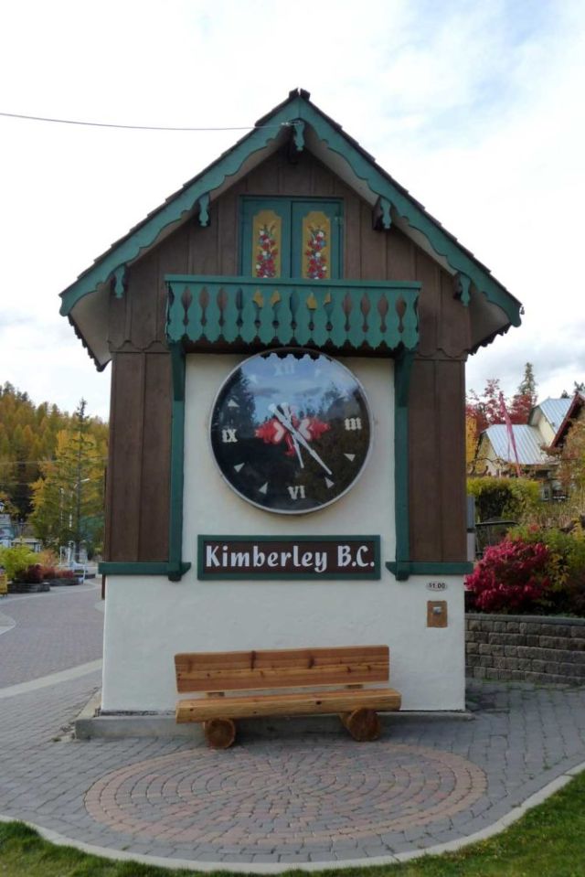 Kimberley cuckoo clock, Powder Highway