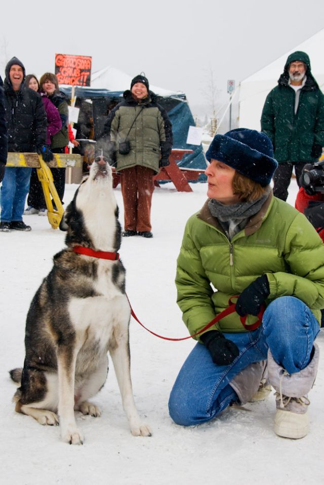 Winter festival Canada