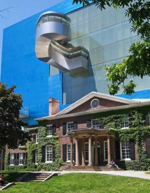The Art Gallery of Onatario Frank Gehry Canadian art
