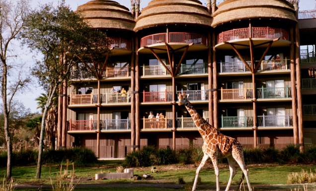 Disney Animal Kingdom Lodge
