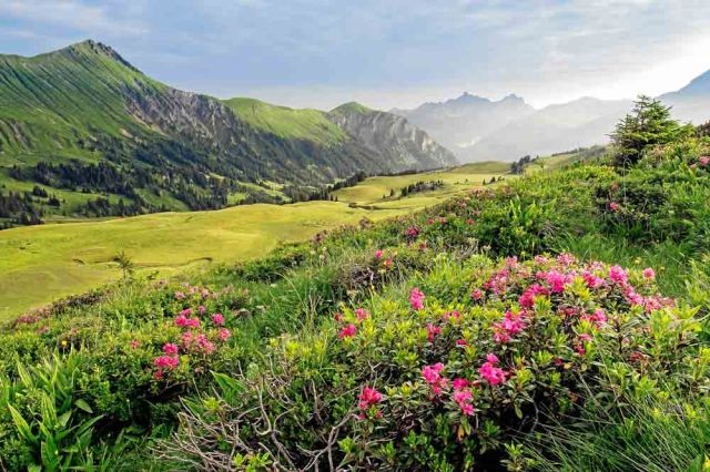 Romantic Switzerland