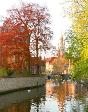 Autumn trees over Bruges Canal