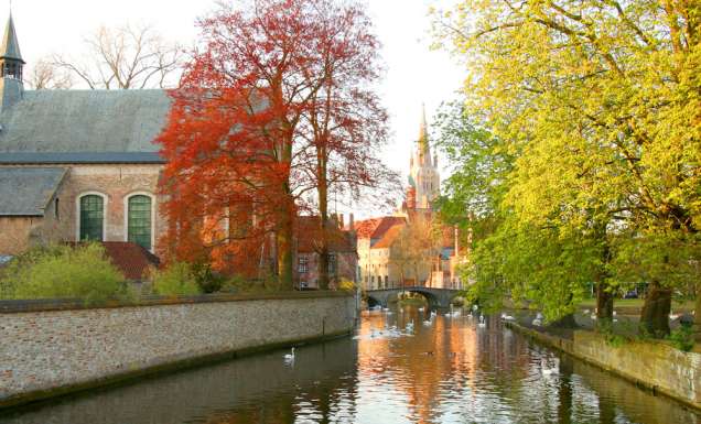 Autumn trees over Bruges Canal