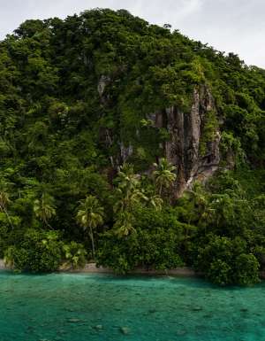 Lush greenery and turquoise water in Fiji
