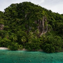 Lush greenery and turquoise water in Fiji