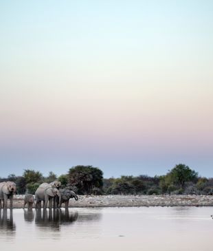 Top 10 wildlife attractions to avoid and why