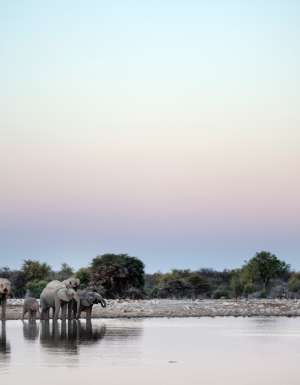 Top 10 animal attractions to avoid