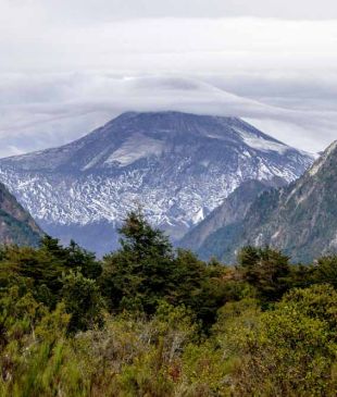 Chile’s charming countryside dairy farm