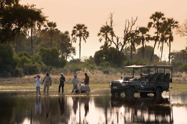 safari kids family wildlife africa