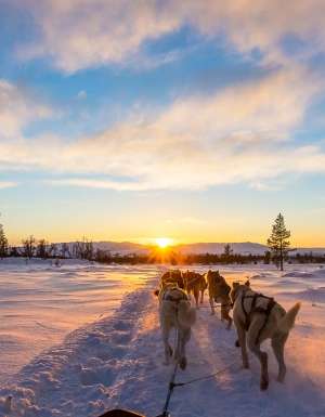 Dog sledding Churchill Canada