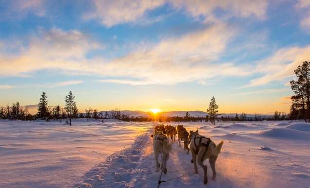 Dog sledding Churchill Canada