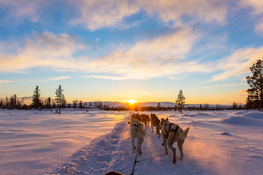 hero media