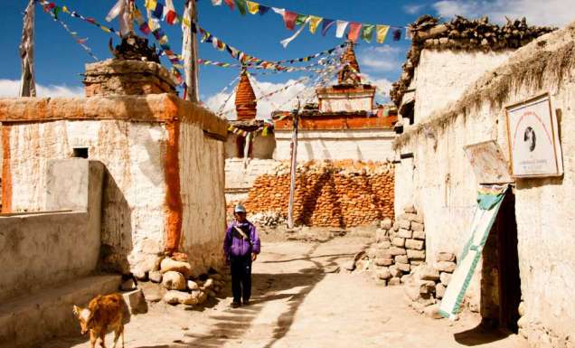 Nepal mustang history