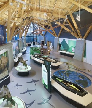 5 of Canada’s best prehistoric marvels you can see today