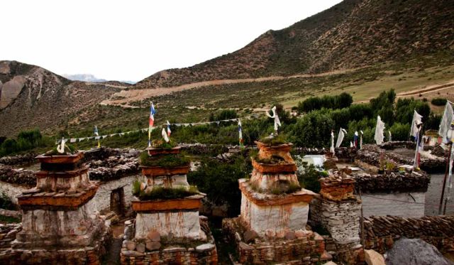 Nepal mustang history