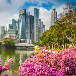 Singapore discover