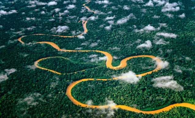 Manu Peru wildlife adventure