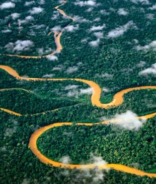 Seven must-see sights of Manu National Park