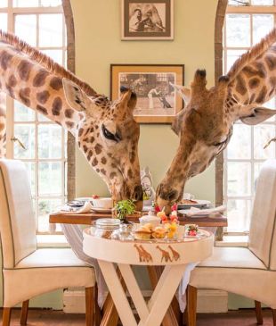 Things to do in Nairobi when it rains
