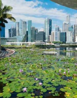 Art Science Museum skyline singapore garden