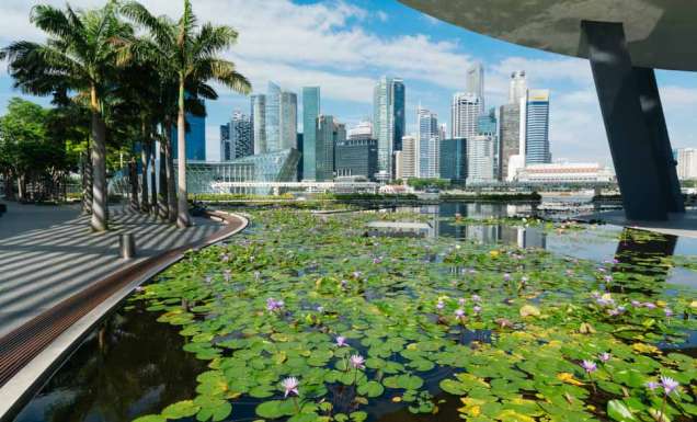 Art Science Museum skyline singapore garden