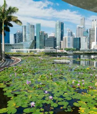 Is ‘neuro-tourism’ the future of travel?