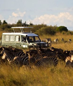 Why you should pay more for a safari