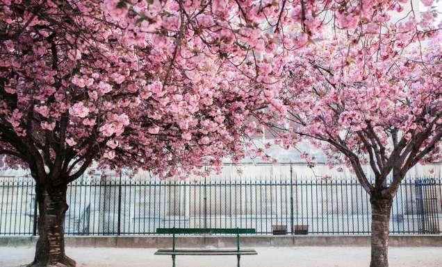 Paris, France
