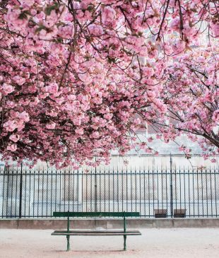 15 awesome cities to see before you die