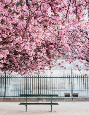 Paris, France